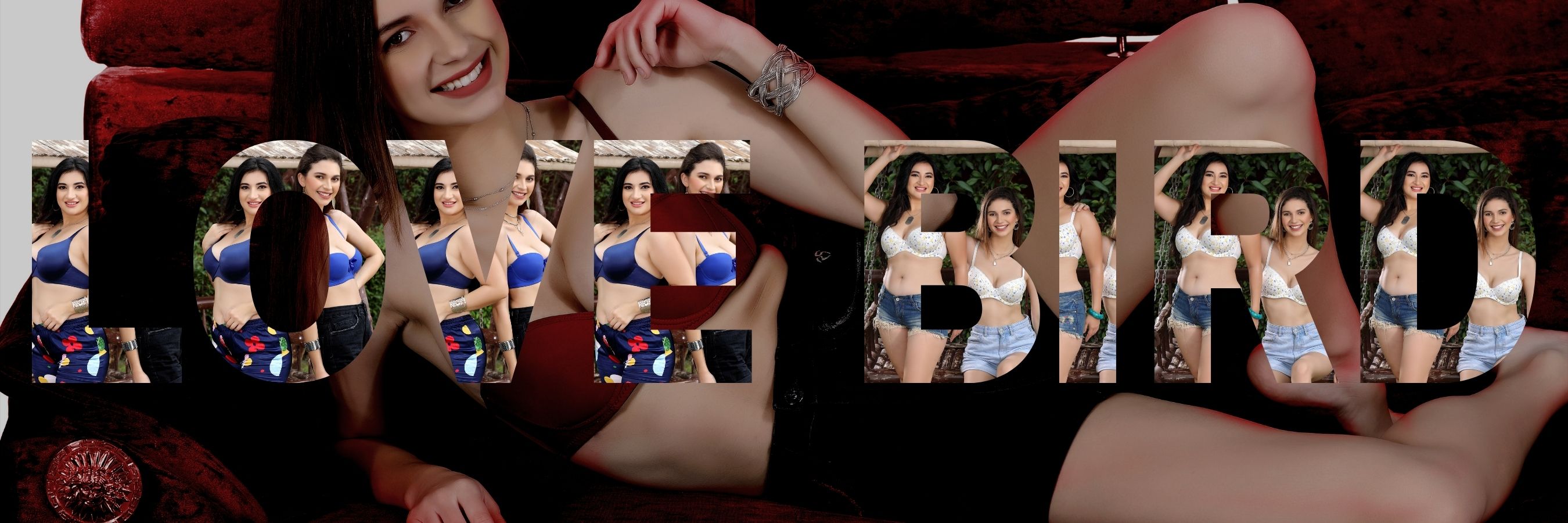 Sanjeev Store Premium Plus Size Bras in India